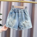 Shorts Jeans Fashion Embroidery Loose Short Denim Pants